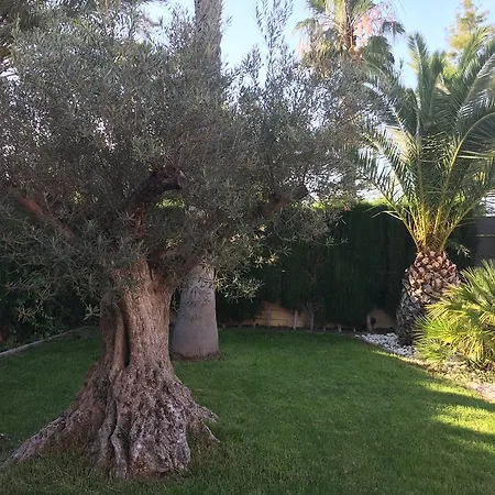 Chalet And Golf Alicante Jupalca Vakantiehuis Santa Pola