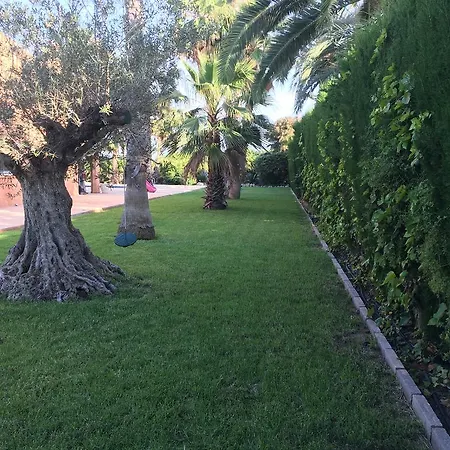 Chalet And Golf Alicante Jupalca *