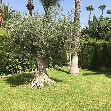Chalet And Golf Alicante Jupalca Holiday home